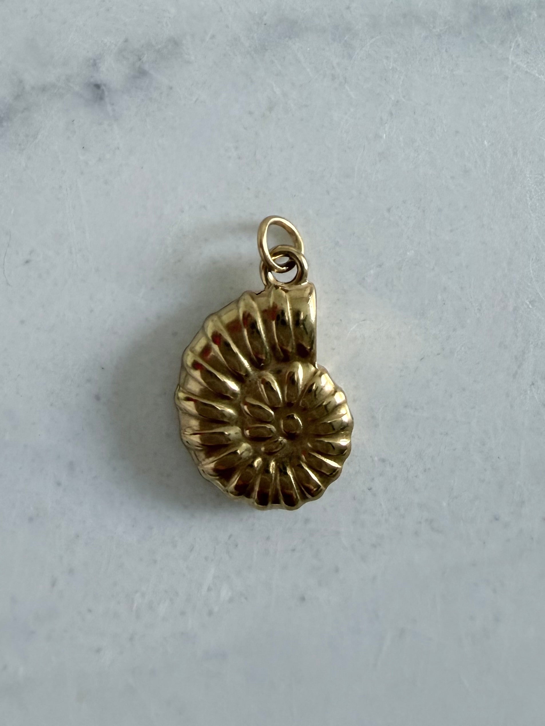 Aura Charm – Nautilus Shell ✨