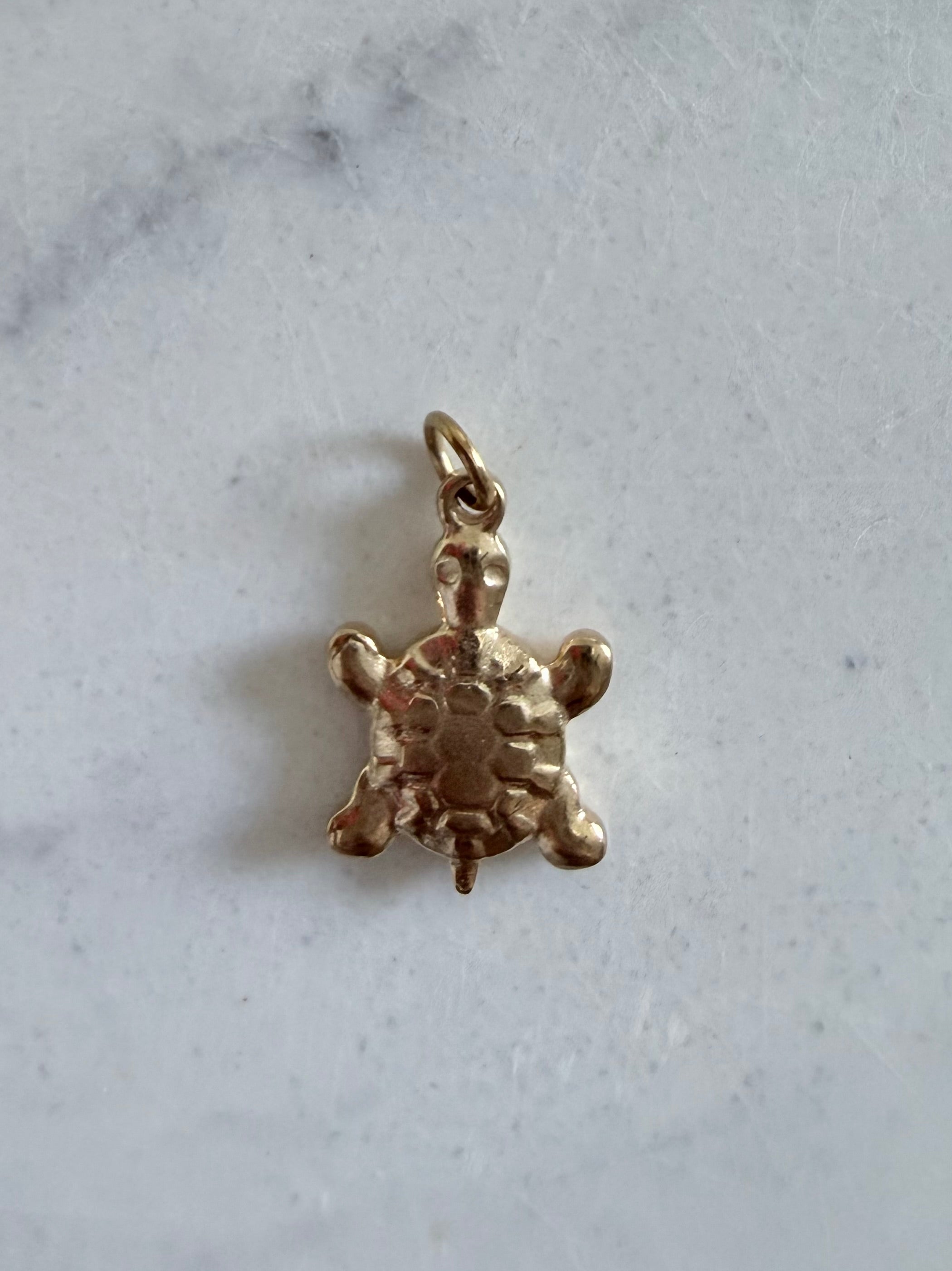 Aura Charm – Turtle ✨