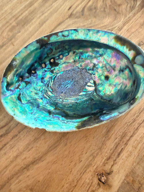 Abalone Shell – Natural Cleansing Bowl