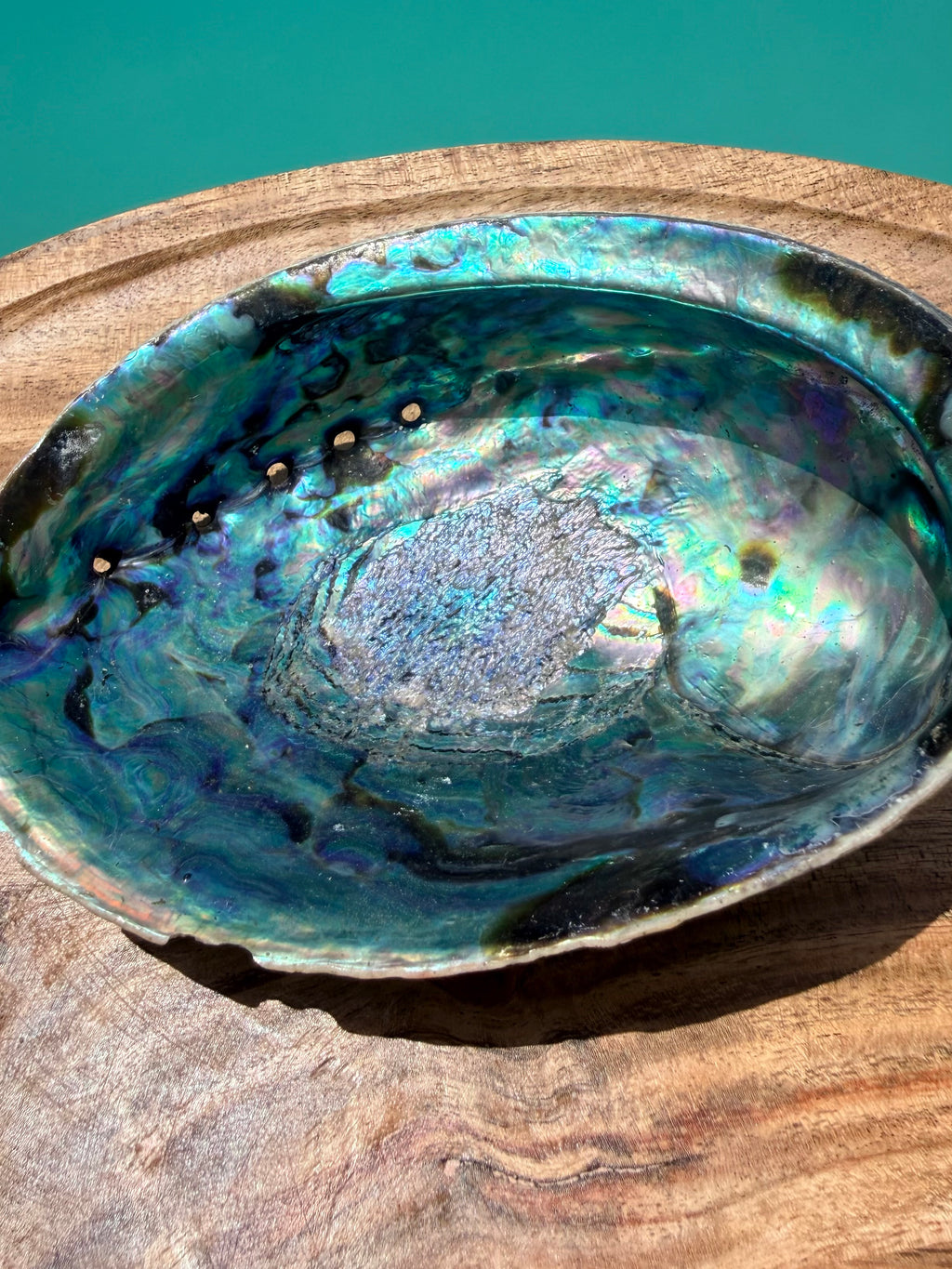 Abalone Shell – Natural Cleansing Bowl