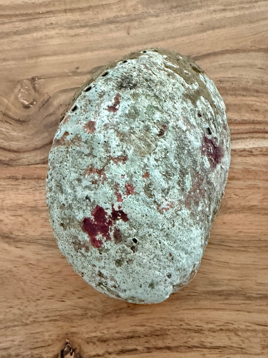 Abalone Shell – Natural Cleansing Bowl